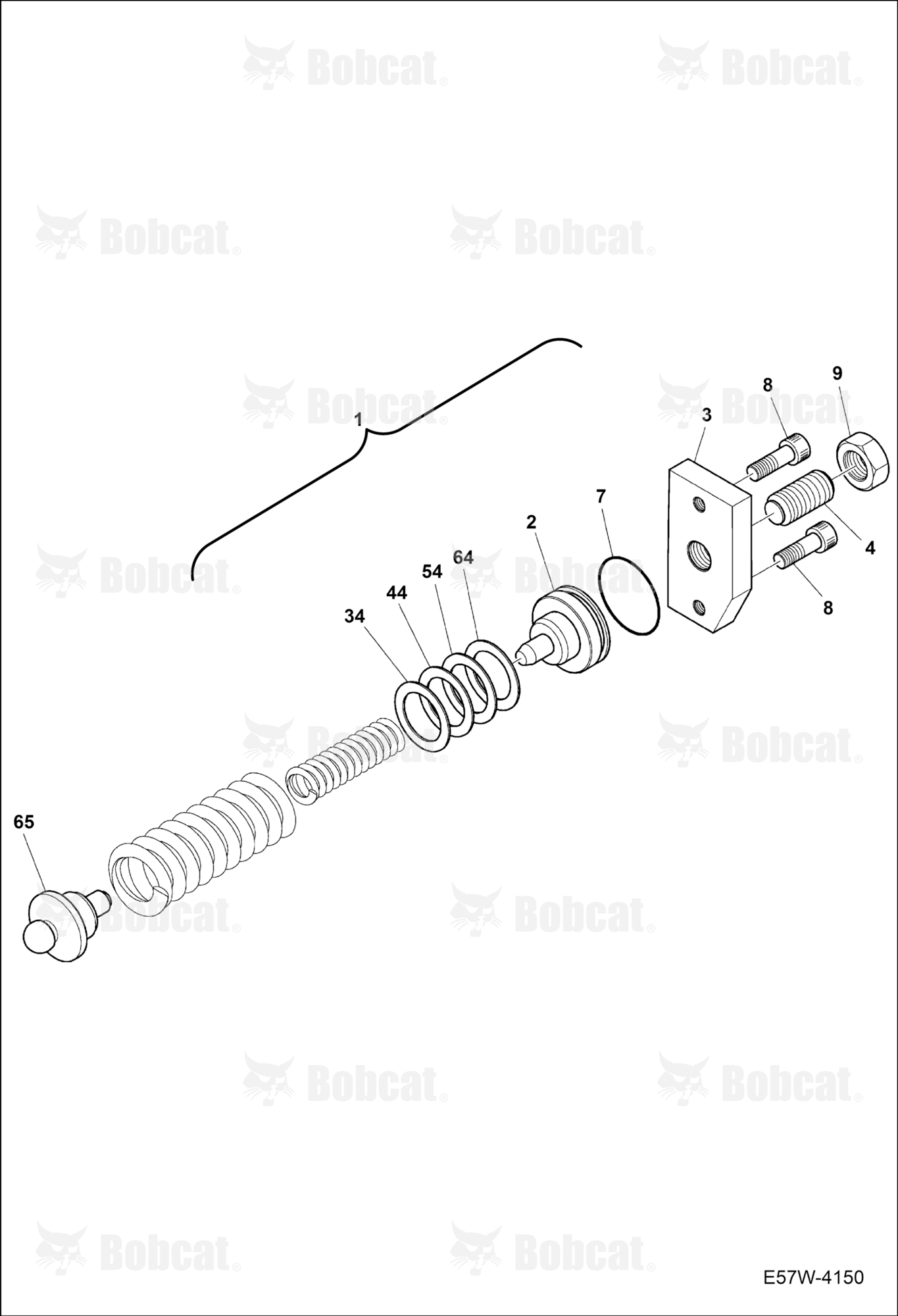Hydrostatic Pump (Spring Assy)