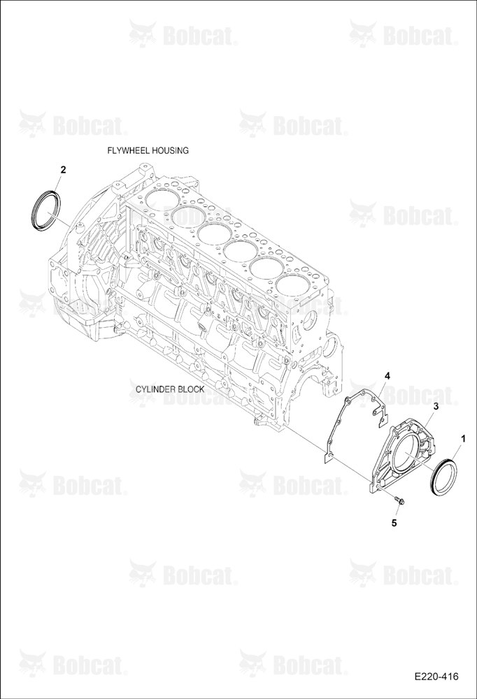 Oil Seal