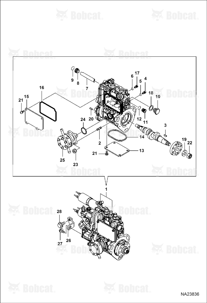 Fuel Injection Pump