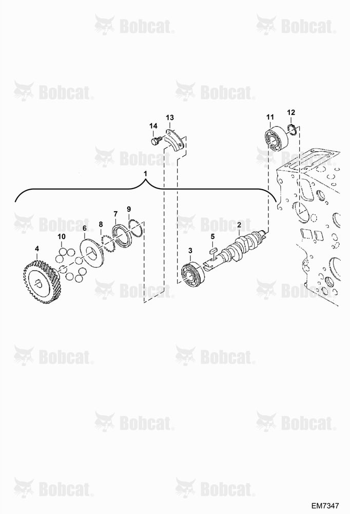 Fuel Camshaft and Governor Shaft