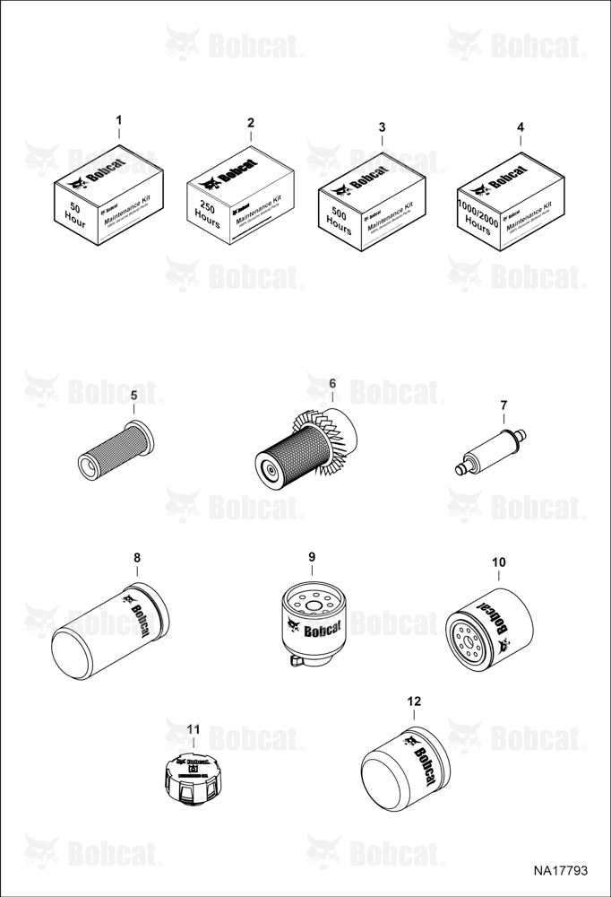 Maintenance Items (Scheduled Maintenance)