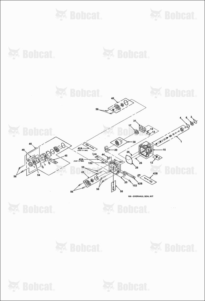 Hydrogear Pump
