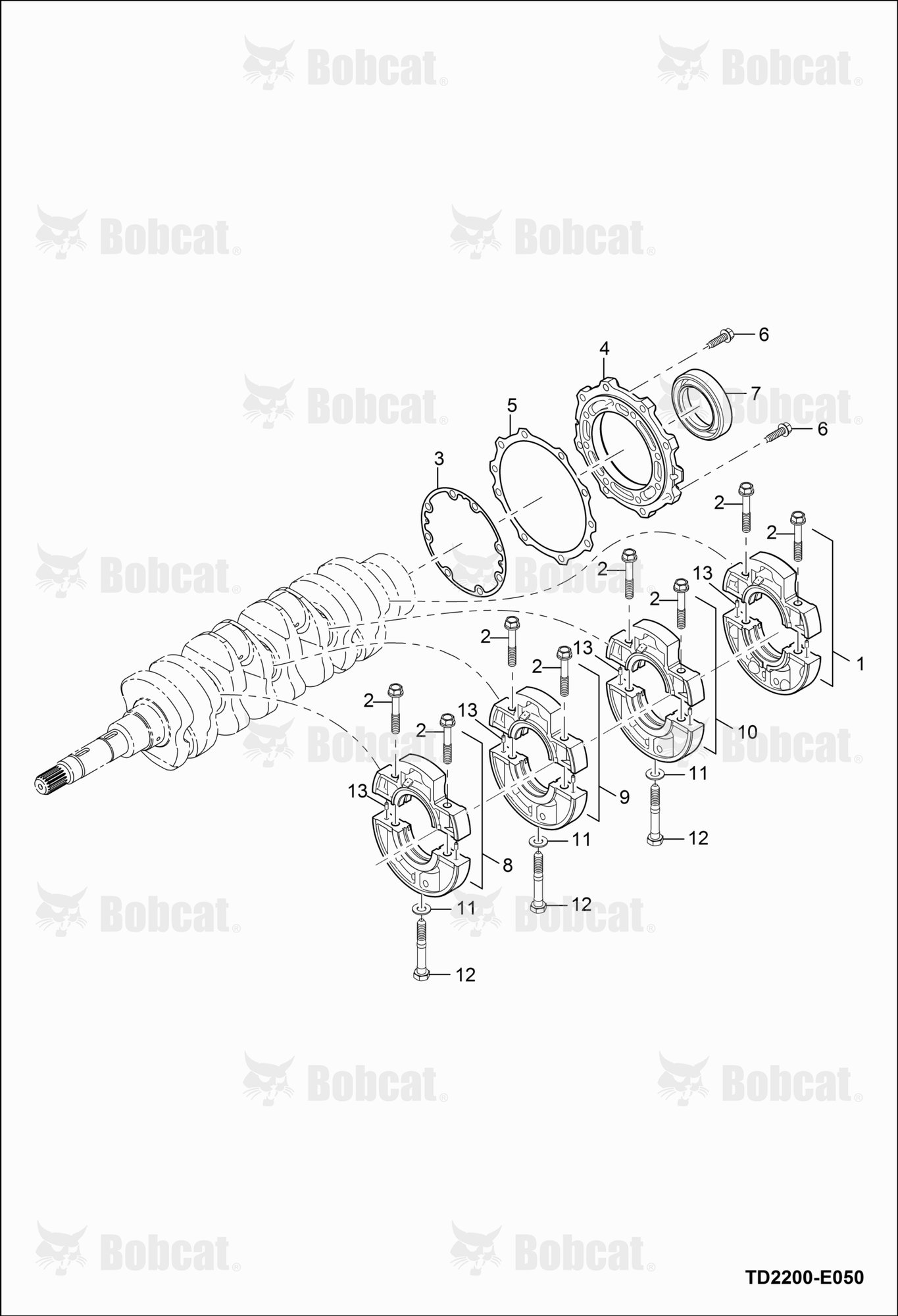 Main Bering Case Group