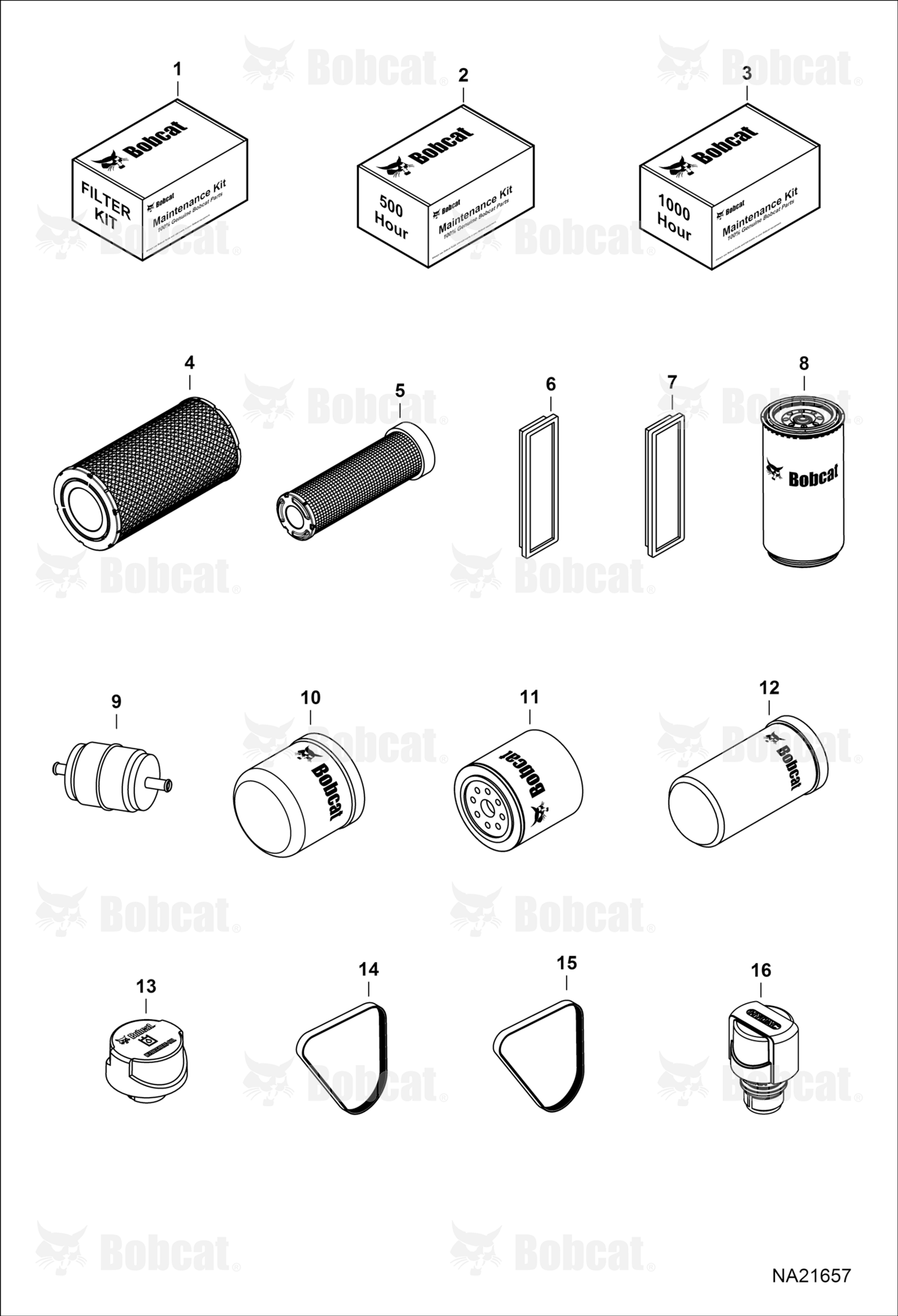 Maintenance Items (Scheduled Maintenance)