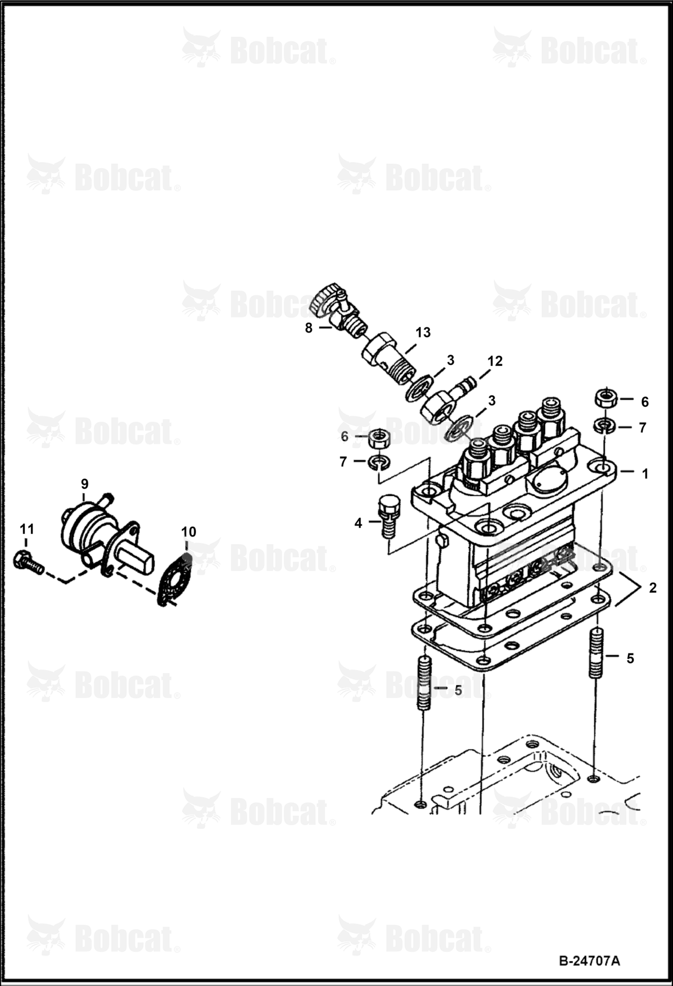 Fuel & Injection Pump