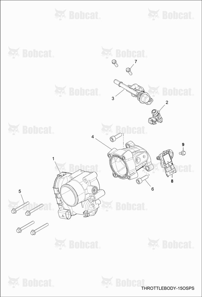 ENGINE, Throttle Body & Fuel Rail