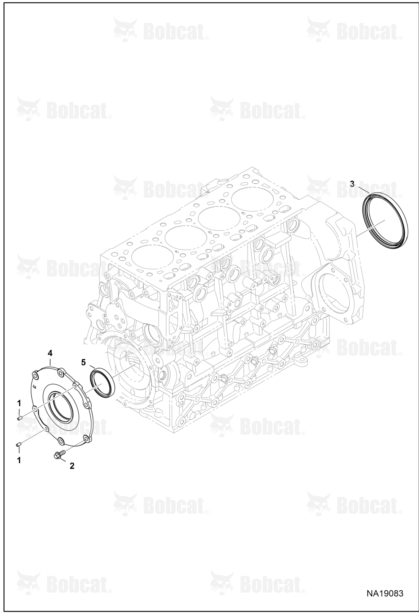 Oil Seals