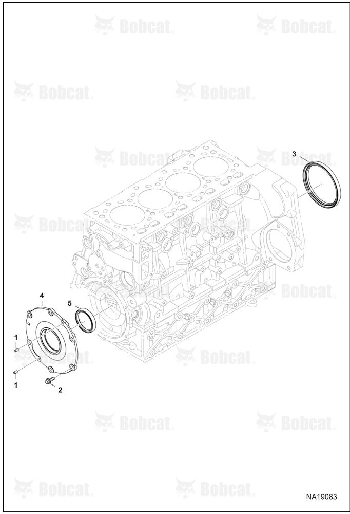 Oil Seals