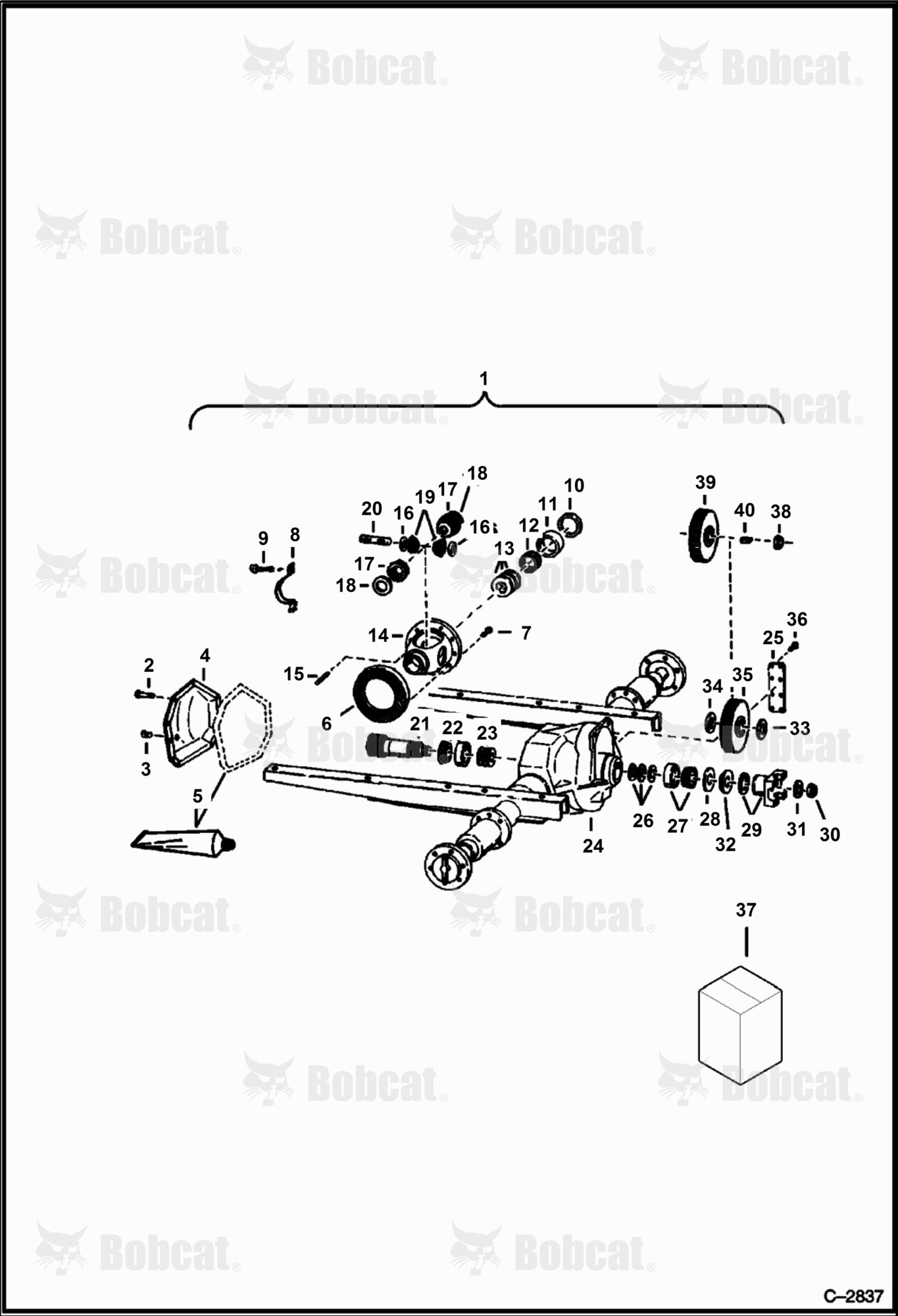 Rear Differential