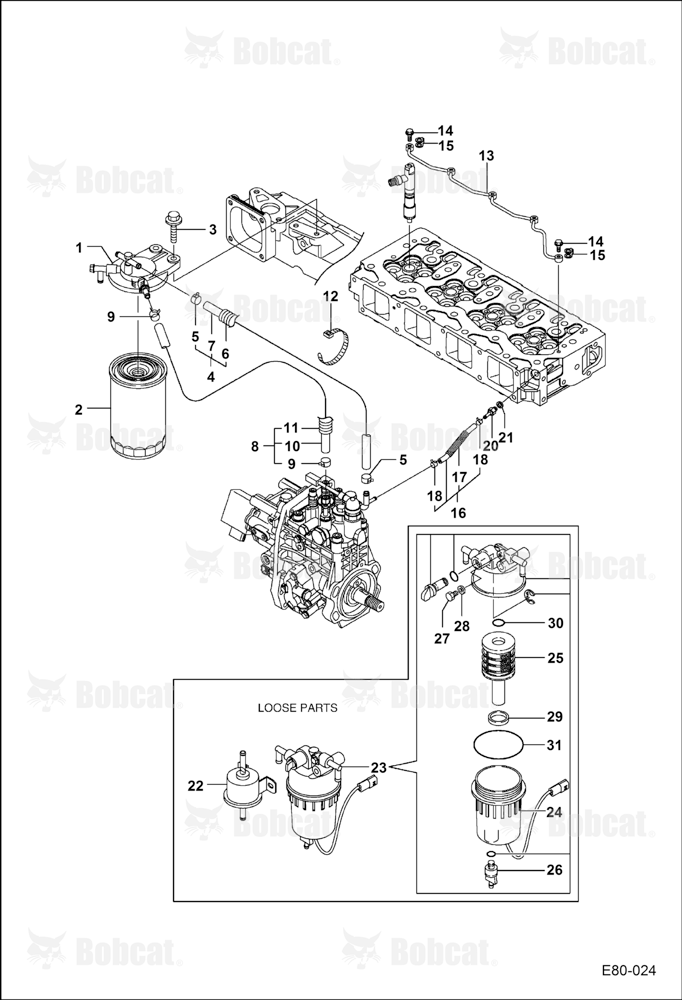 Fuel System (Pump & Filters)