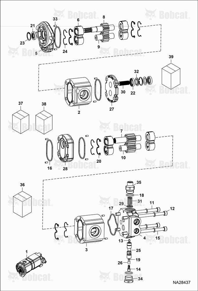 Pump Gear Dual