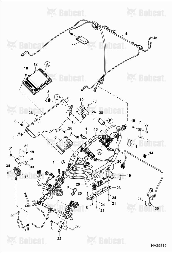 CAB Electrical Circuitry (Harnesses)