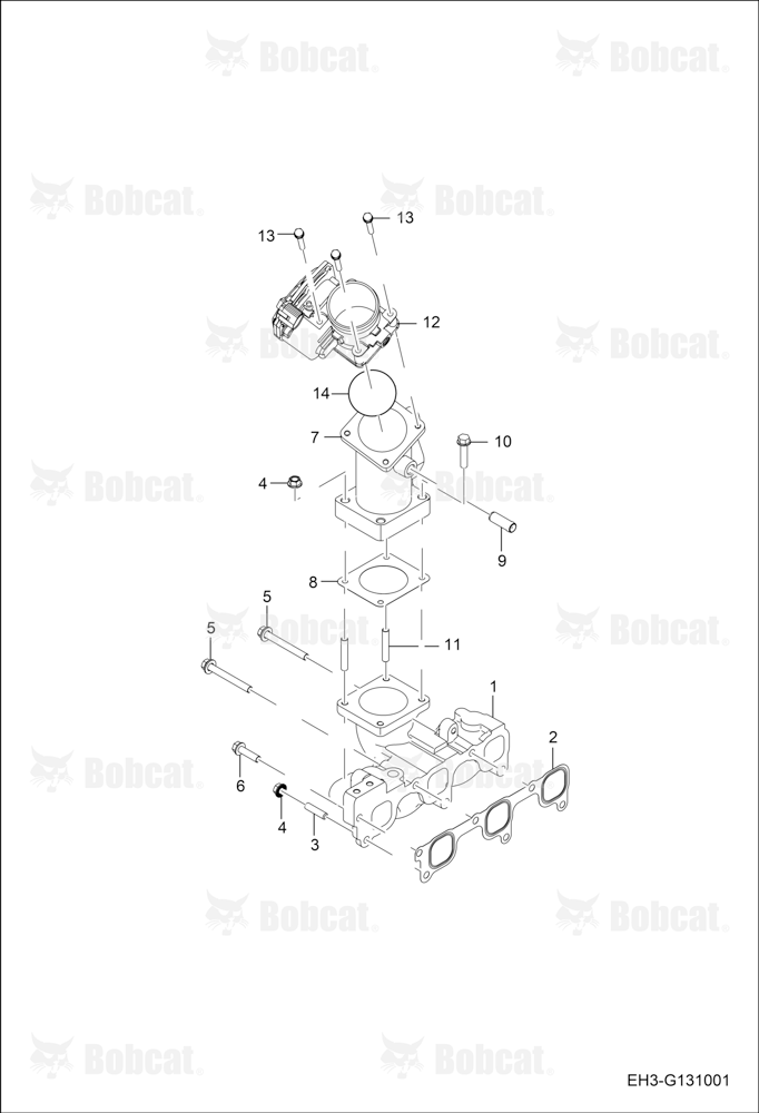 Intake Manifold Group