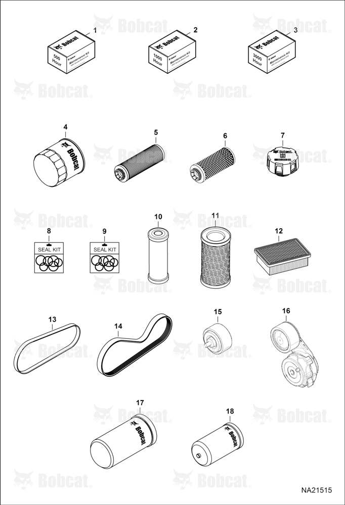 Maintenance Items (Scheduled Maintenance)