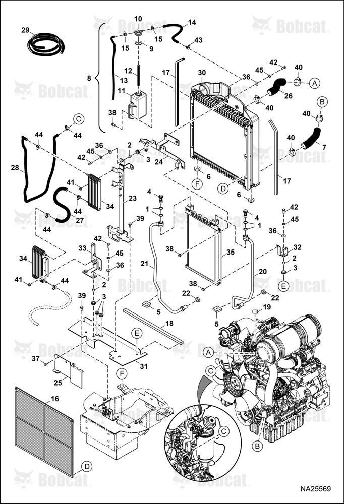 Cooling System (Radiator)