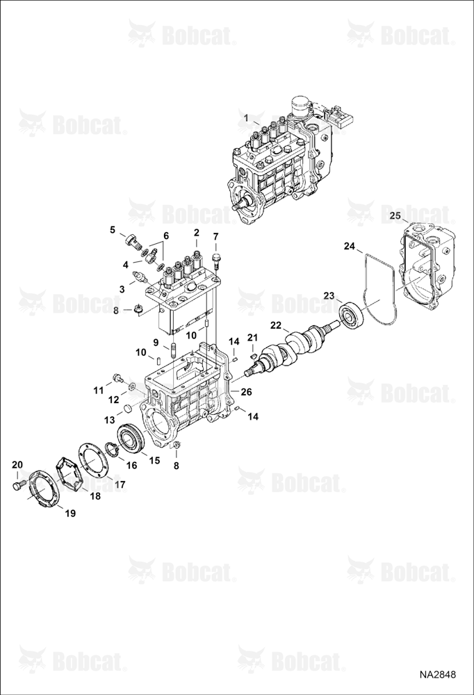 Fuel Injection Pump