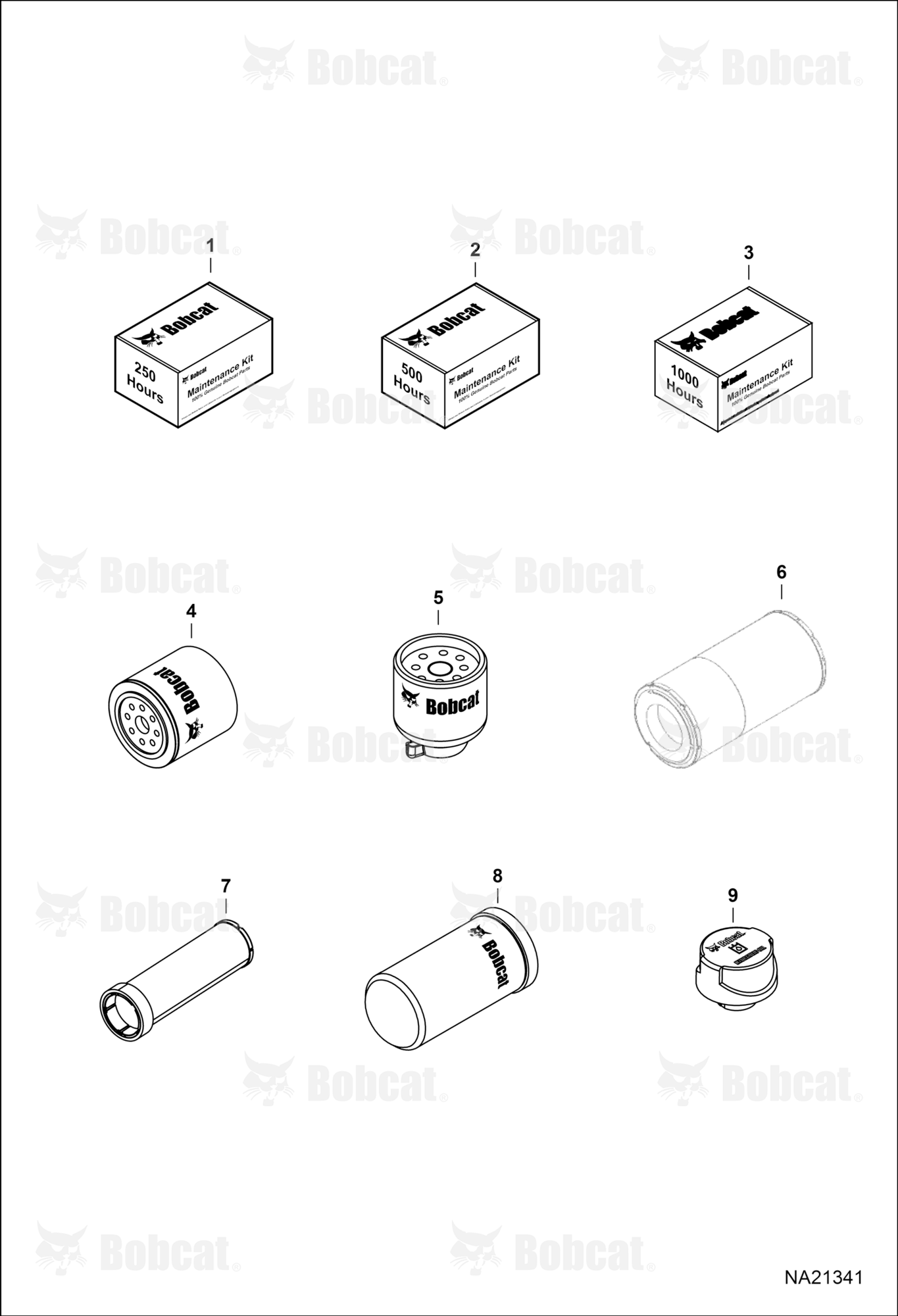 Maintenance Items (Scheduled Maintenance)