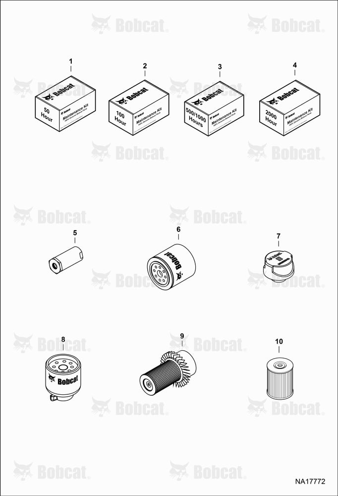 Maintenance Items (Scheduled Maintenance)