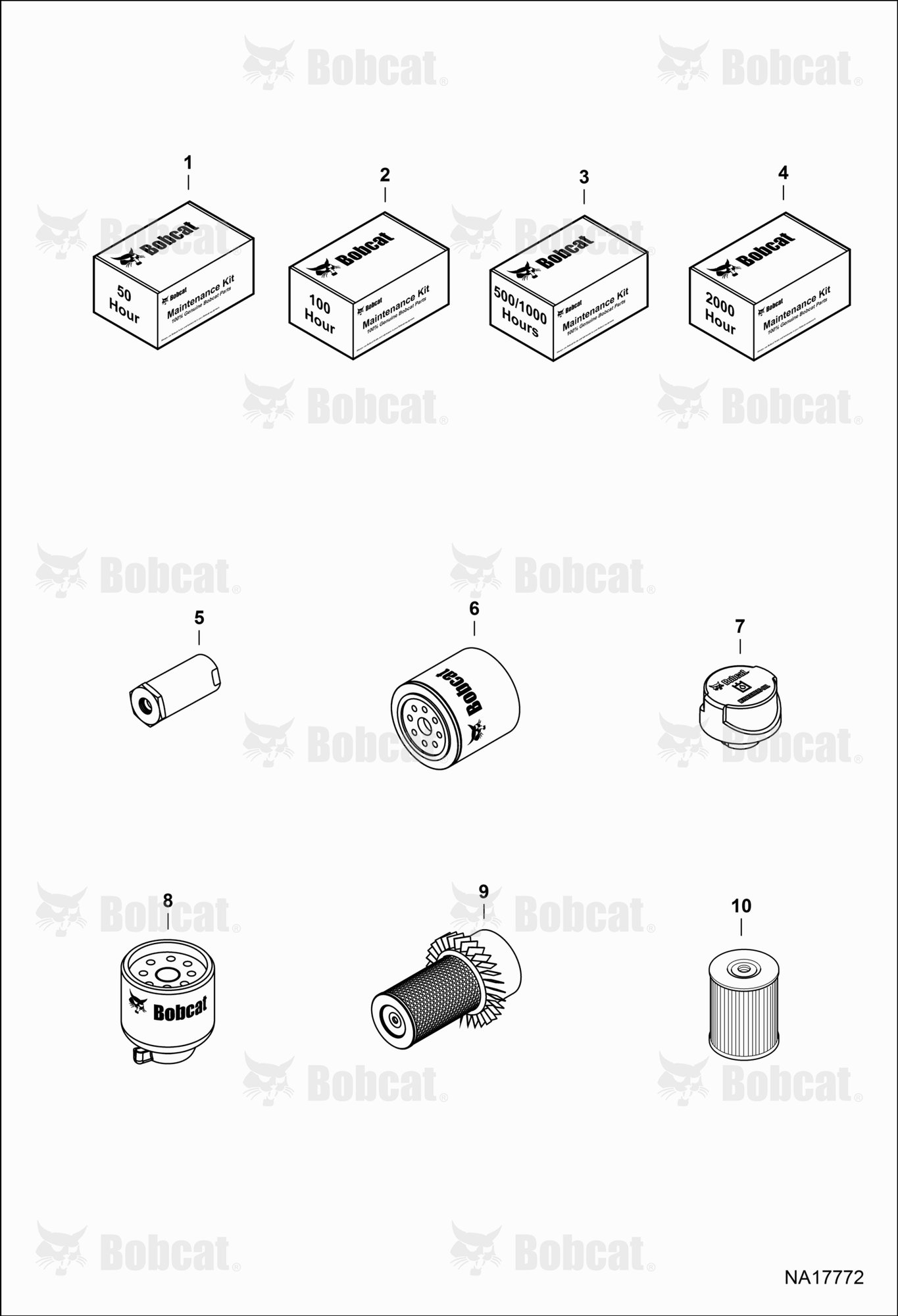 Maintenance Items (Scheduled Maintenance)