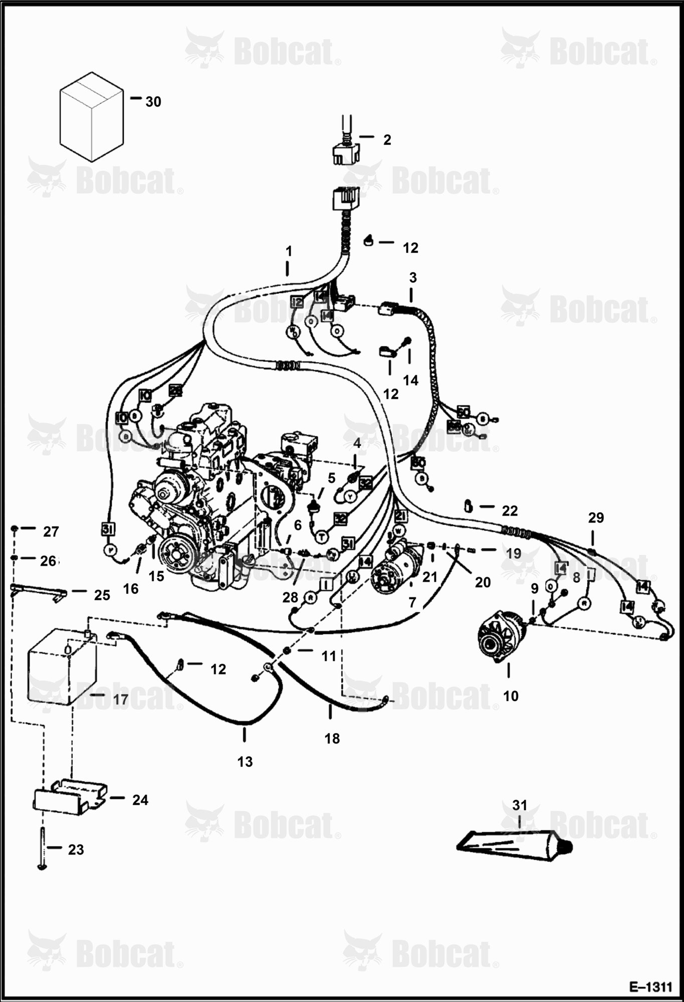 Engine Electrical  499012001 & Above