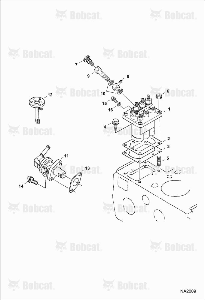 Injection Pump