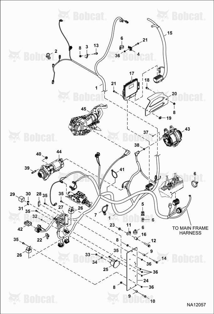 Engine Electrical Circuitry (Harness)