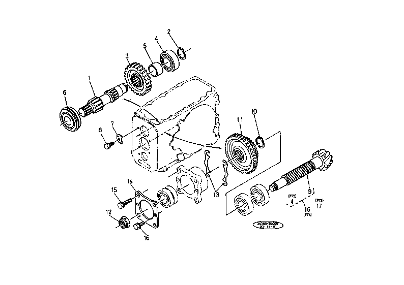 Spiral Bevel Pinion