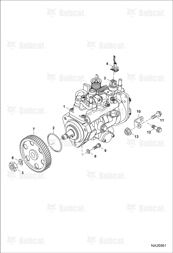 Fuel Injection System (Pump)