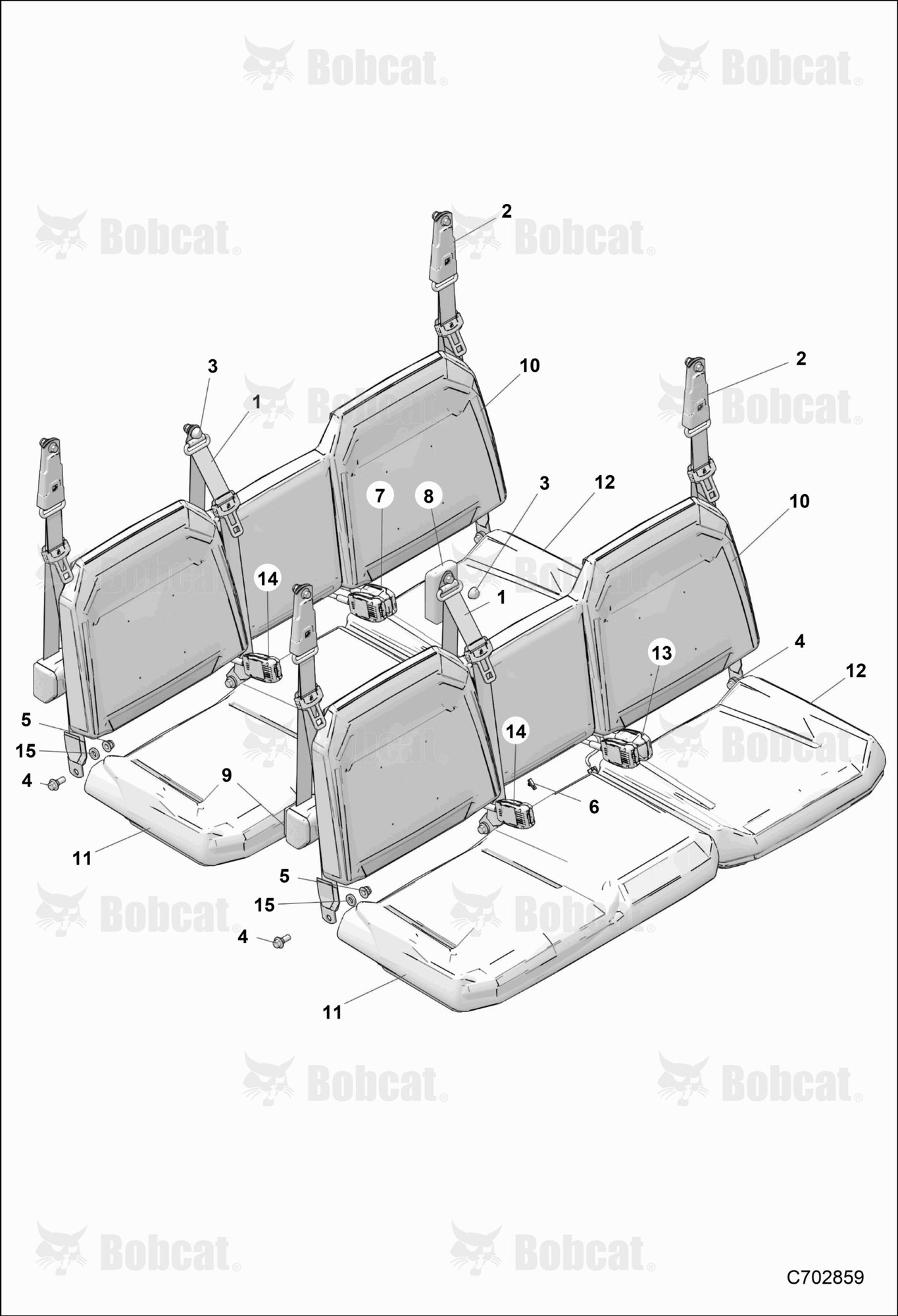 BODY, Seat and Seat Belts
