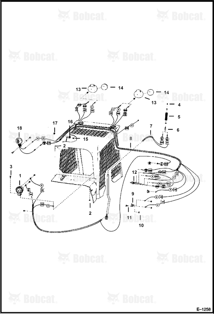 European Accessories (Horn & Light)