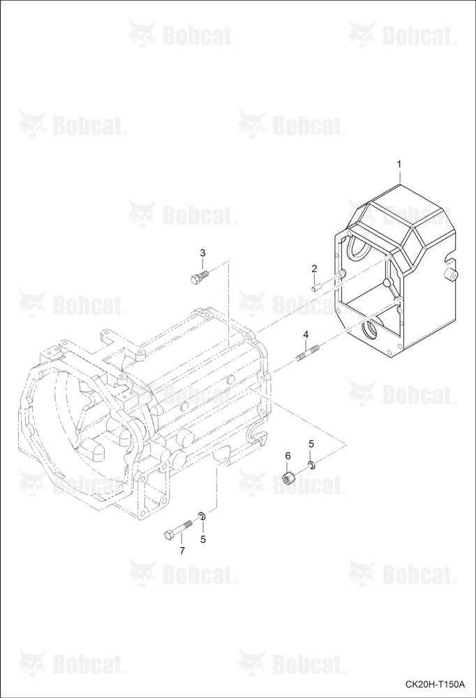HST Case