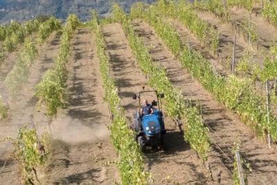 New Holland T4.80V.jpg