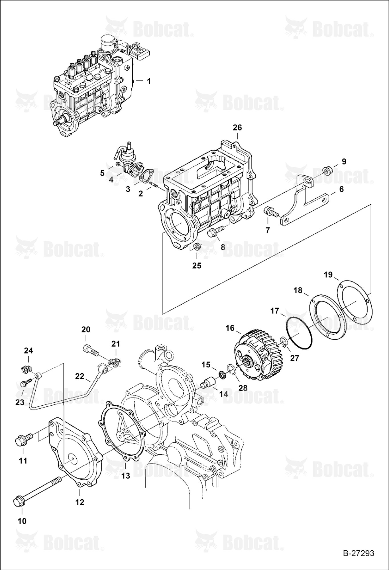 Fuel Injection System (Fuel & Injection Pumps)