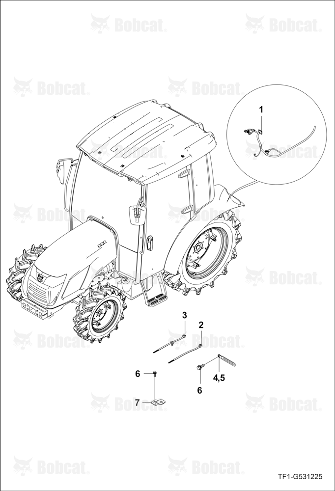 Fender Wire Harness Group