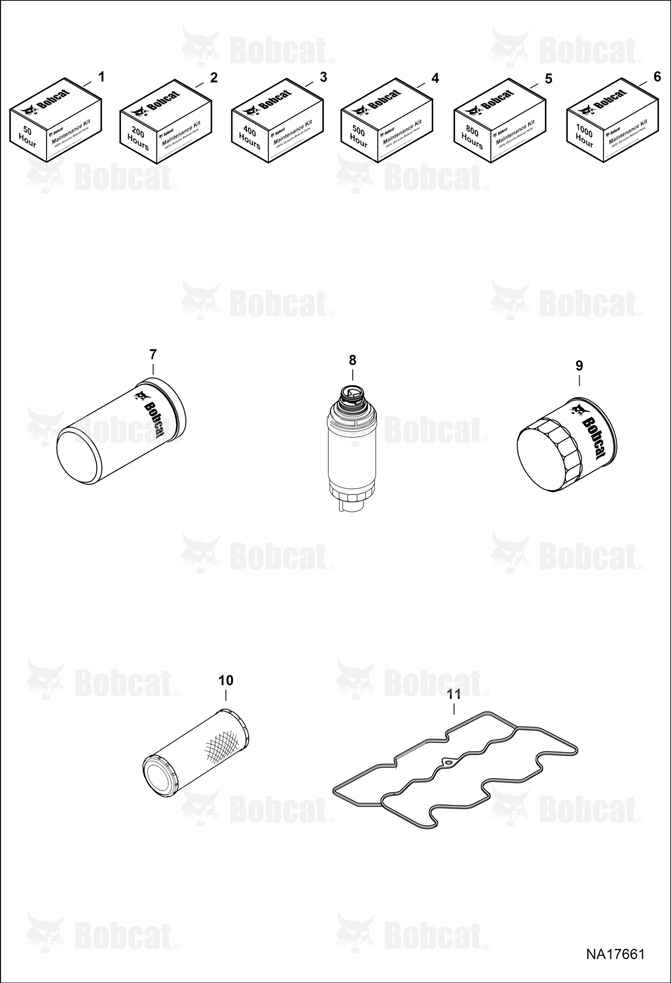 Maintenance Items (Scheduled Maintenance)