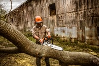 Thumbnail of 77542_MS362_act_1000_r1_US.jpg