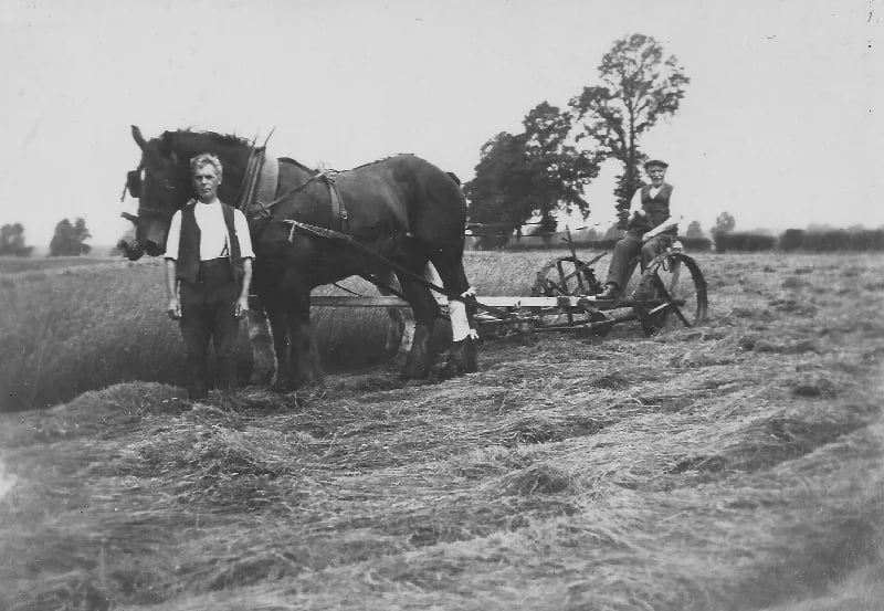 Mr Cleverley making hay at Curricombe Farm