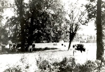 Park Farm