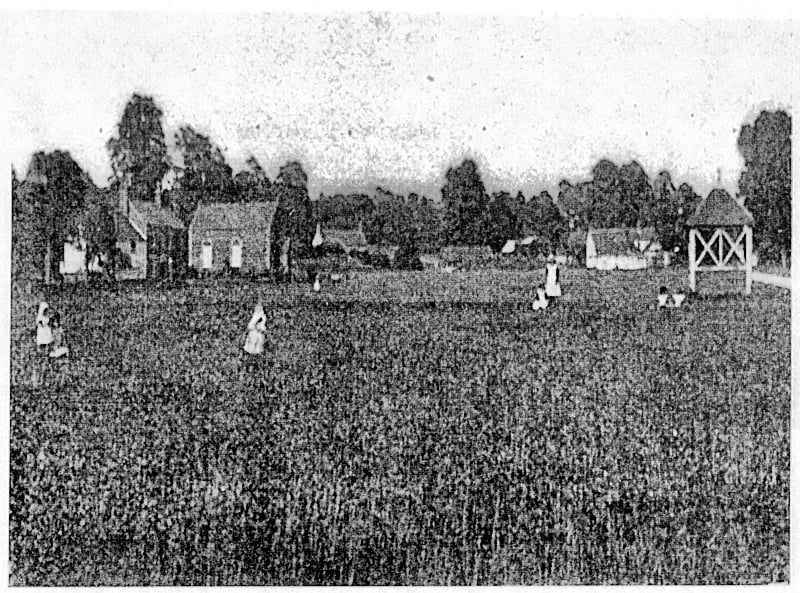 Foxham Common