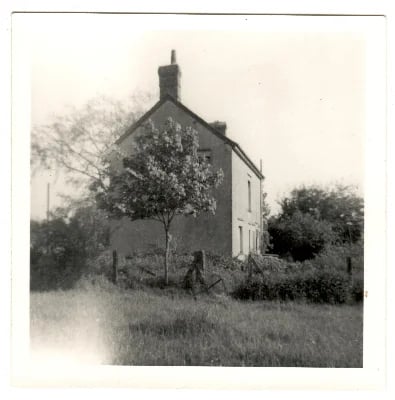 Brook Farm