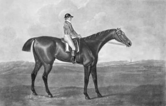 Skyscraper by George Stubbs