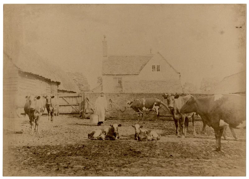 Park Farm