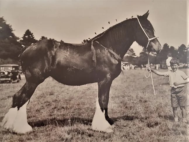 Nicol as a lad holding onto a heavy horse