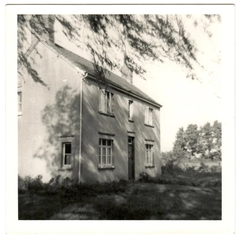 Brook Farm