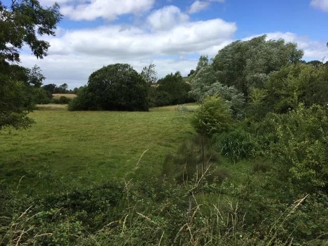 View of the site of Stanley Abbey from the cycle track