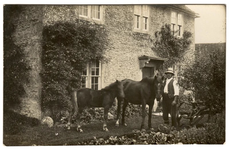 Park Farm