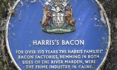 Harris Bacon