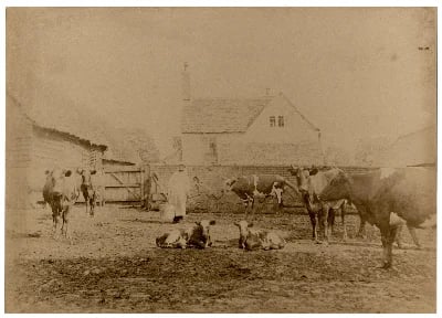 Park Farm