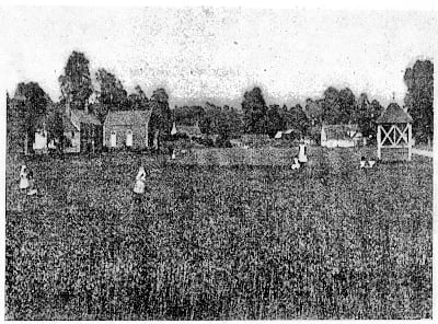 Foxham Common