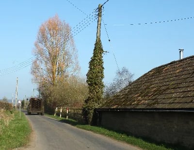 Bosmere Farm